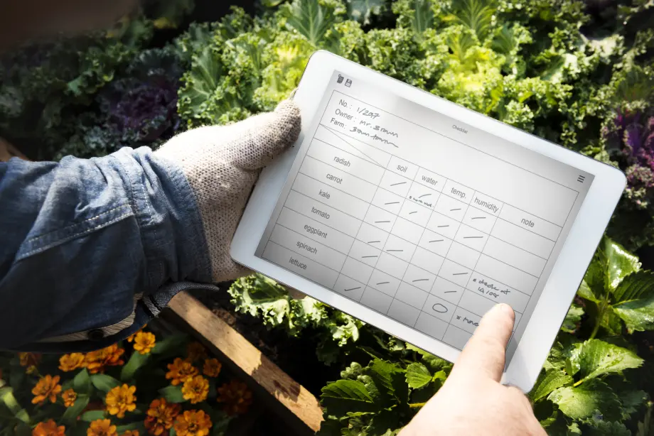 Machine learning strategie voor Nederlandse bedrijven