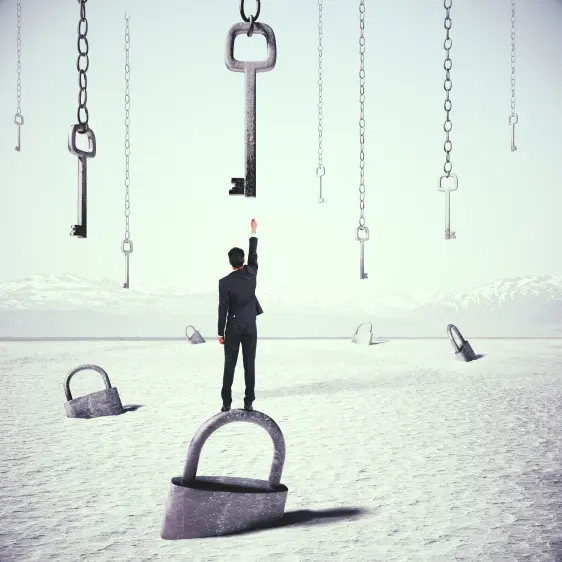 Open source code ontwikkeling