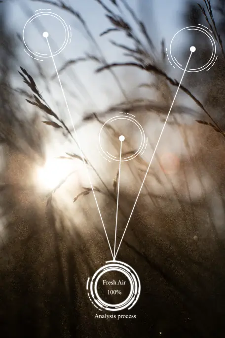 Innovatieve toekomst van digitale procesoptimalisatie